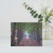 Carte postale Vent dans les pins (Debout devant)