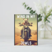 Carte Postale Vent dans mes griffes : Un Bulldog à cheval sur un (Debout devant)