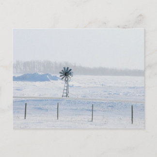 Carte Postale Vent d'hiver