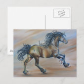 Carte Postale Vent Racer (Devant / Derrière)