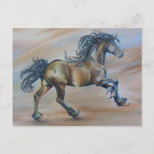 Carte Postale Vent Racer (Devant)