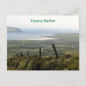 Carte Postale Ventry Harbor, Dingle, Kerry, Irlande (Devant)