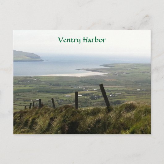 Carte Postale Ventry Harbor, Dingle, Kerry, Irlande (Devant)