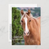 Carte postale Ventura (Devant / Derrière)