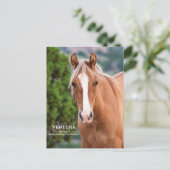 Carte postale Ventura (Debout devant)