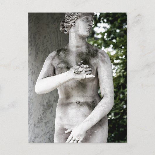Carte postale Venus (Devant)
