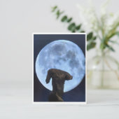 Carte Postale Vénus et la Lune (Debout devant)
