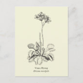 Carte Postale Vénus Flytrap, Plante carnivore (Devant)