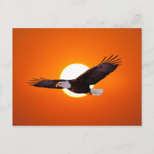 Carte Postale Vénus surréaliste en transit