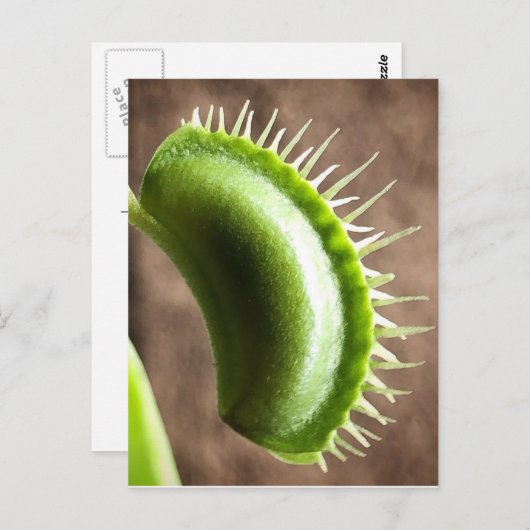 Carte Postale Vénus Trap (Devant / Derrière)