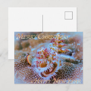 Carte Postale ver de l'arbre de Noël
