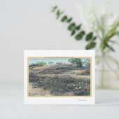 Carte Postale Verbenas du sable et Primroses du désert (Debout devant)
