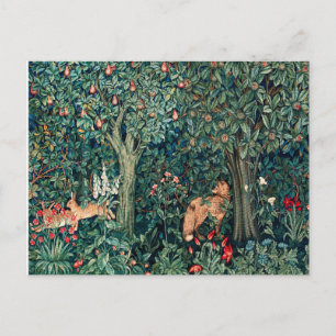 Carte Postale VERDURE, Hares d'ANIMAUX FORESTIERS, Renard, Flora