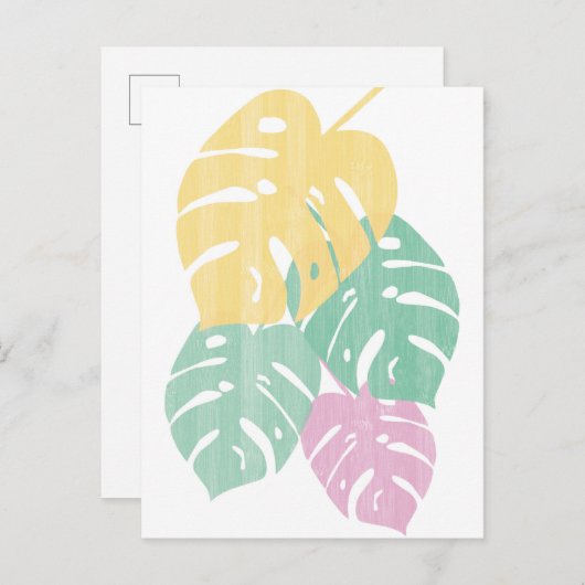 Carte Postale Verdure tropicale - Monstera Feuilles (Devant / Derrière)