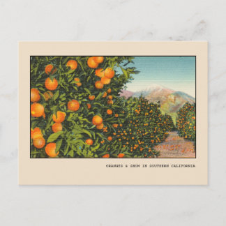 Carte Postale Verger d'orangers vintage en lin de Californie du 