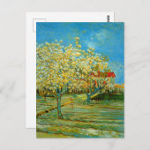 Carte Postale Verger en fleurs par Vincent van Gogh (Devant / Derrière)