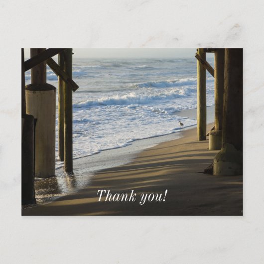 Carte Postale Vérification du rivage (Devant)