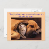 Carte Postale "Véritable amitié ... (Devant / Derrière)