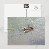 Carte Postale Véritable Amour (Devant / Derrière)