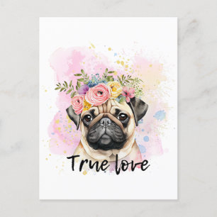 Carte Postale Véritable amour carlin amour, meilleur ami chien
