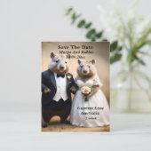Carte Postale "Véritable Amour En Bas : Wombats Tying The Knot (Debout devant)