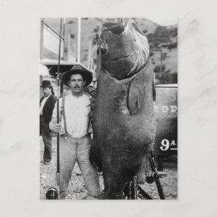 Carte Postale Véritable Big Fish, début des années 1900