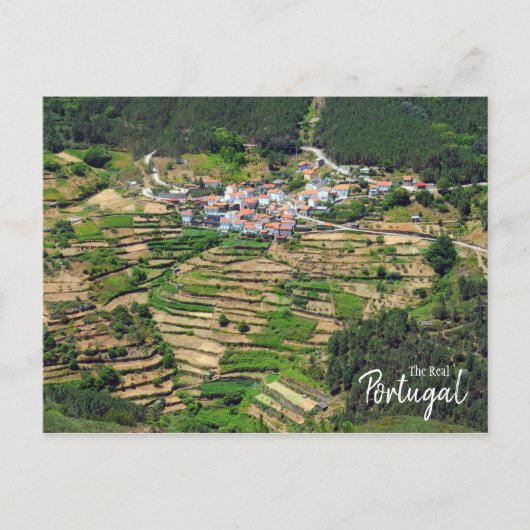 Carte Postale Véritable Portugal - Spectaculaire Agriculture En (Devant)
