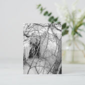 Carte postale Vermilion Falls (Debout devant)