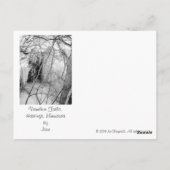 Carte postale Vermilion Falls (Dos)