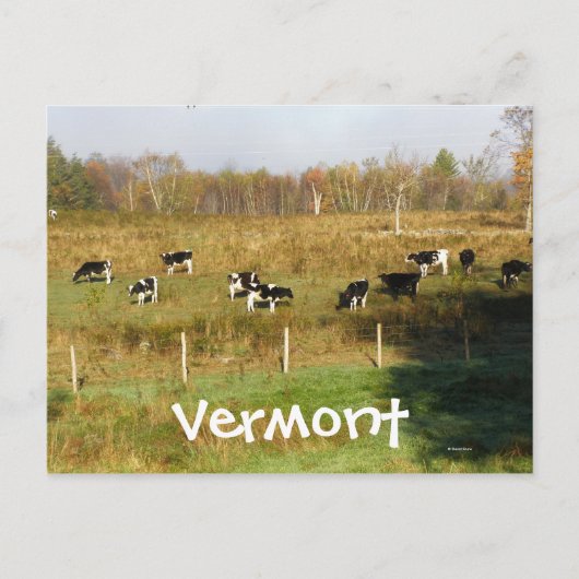 Carte Postale Vermont (Devant)