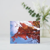 Carte postale Vermont 1 (Debout devant)