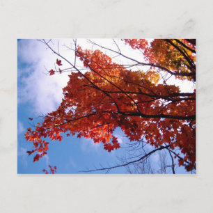 Carte postale Vermont 1