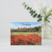 Carte Postale Vermont en couleur (Debout devant)
