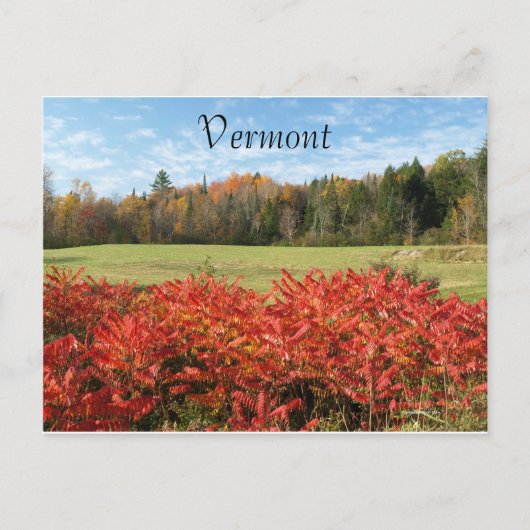 Carte Postale Vermont en couleur (Devant)