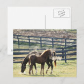 Carte Postale Vermont, États-Unis (Devant / Derrière)