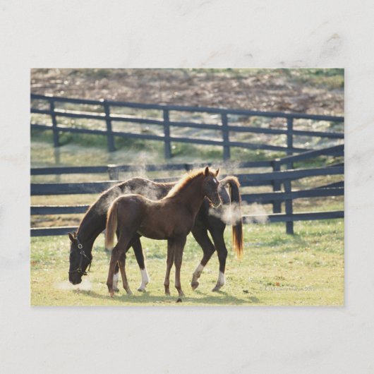 Carte Postale Vermont, États-Unis (Devant)