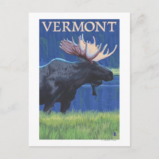 Carte Postale VermontMoose au clair de lune (Devant)