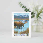 Carte Postale VermontMoose Boire dans le lac (Debout devant)