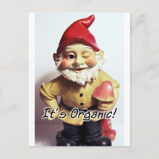 Carte Postale Veronica le Gnome (Devant)