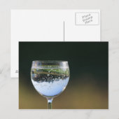 Carte Postale Verre avec boisson. (Devant / Derrière)