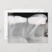 Carte Postale Verres avec eau et glace sèche (Devant / Derrière)