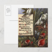 Carte Postale Vers 1890 : Snowdrops (Devant / Derrière)