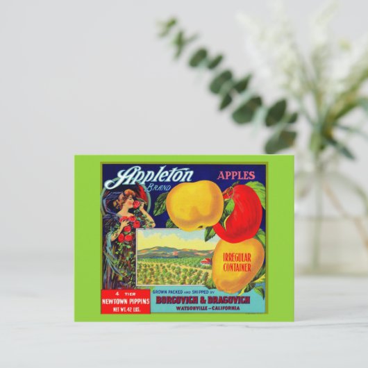 Carte Postale vers 1900 Appleton Apples crate étiquette (Debout devant)