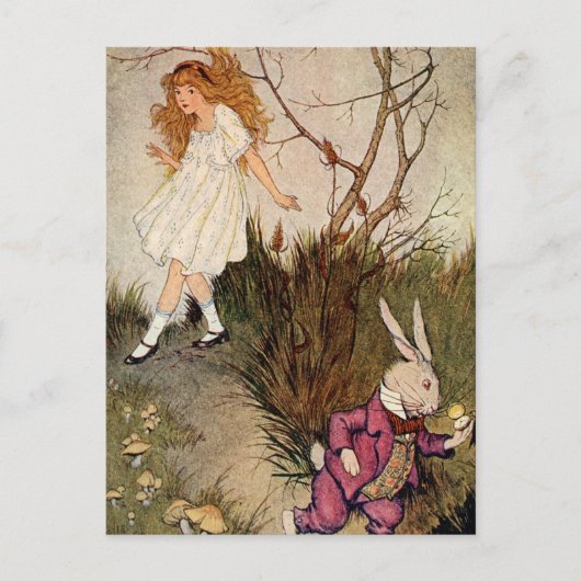 Carte Postale Vers le bas du trou de lapin (Devant)