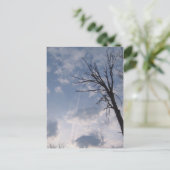 Carte Postale vers le ciel (Debout devant)