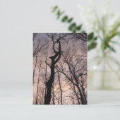 Carte Postale vers le ciel (Debout devant)