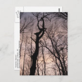 Carte Postale vers le ciel (Devant / Derrière)