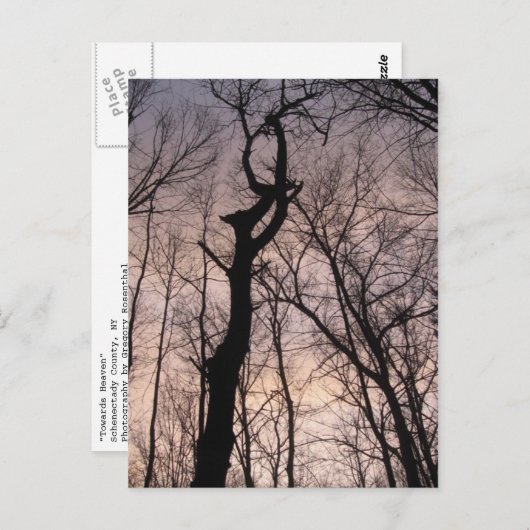 Carte Postale vers le ciel (Devant / Derrière)