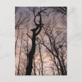 Carte Postale vers le ciel (Devant)