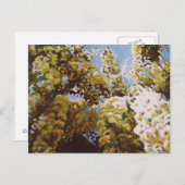 Carte Postale Vers le haut de dans les glycines 2011 (Devant / Derrière)